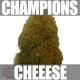 CHAMPIONS * HEAVYWEIGHT SEEDS 5 SEMI FEM