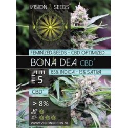 BONA DEA CBD+ * VISION SEEDS 5 SEMI FEM