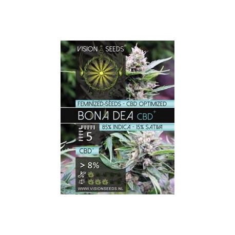 BONA DEA CBD+ * VISION SEEDS 5 SEMI FEM