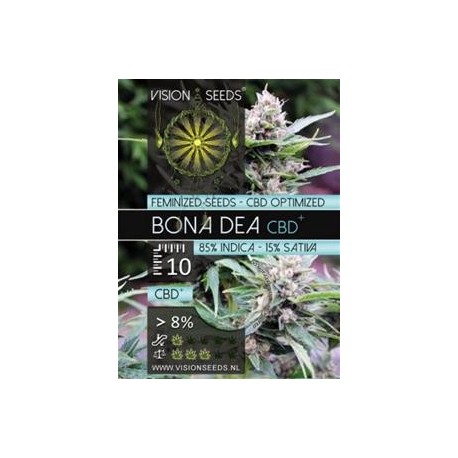 BONA DEA CBD+ * VISION SEEDS 10 SEMI FEM