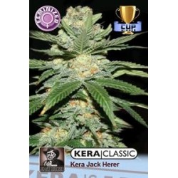 KERA JACK HERER * KERA SEEDS CLASSIC 3 SEMI FEM