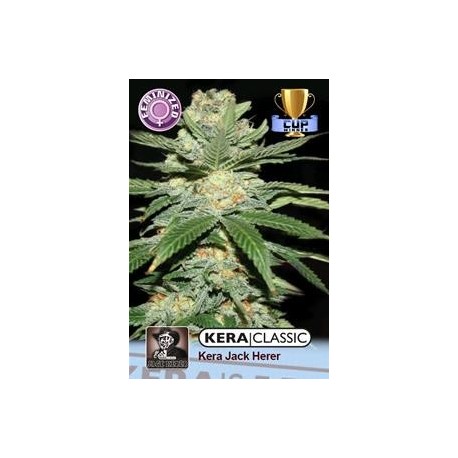 KERA JACK HERER * KERA SEEDS CLASSIC 3 SEMI FEM