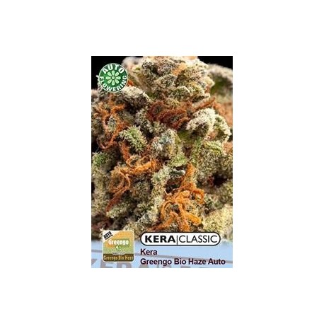 KERA GREENGO BIO HAZE AUTO * KERA SEEDS AUTO 1 SEME FEM