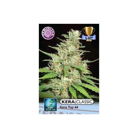 KERA TOP 44 * KERA SEEDS CLASSIC 1 SEME FEM