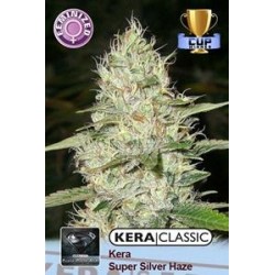 KERA SUPER SILVER HAZE * KERA SEEDS CLASSIC 1 SEME FEM