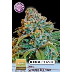 KERA GREENGO BIO HAZE * KERA SEEDS CLASSIC 1 SEME FEM