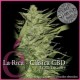 LA RICA CBD * ELITE SEEDS 3 SEMI FEM 