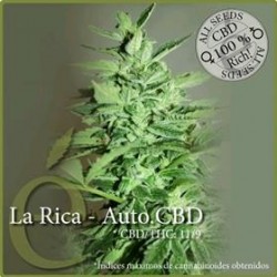 LA RICA AUTO CBD * ELITE SEEDS 3 SEMI FEM 