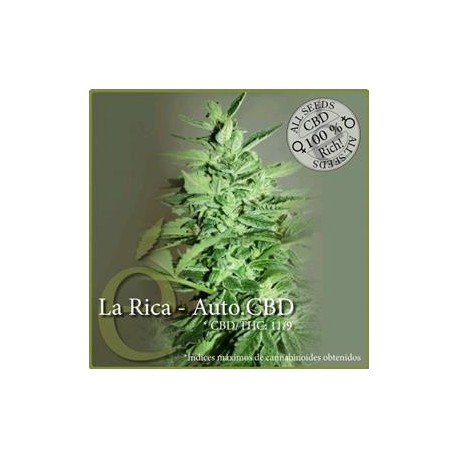 LA RICA AUTO CBD * ELITE SEEDS 3 SEMI FEM 