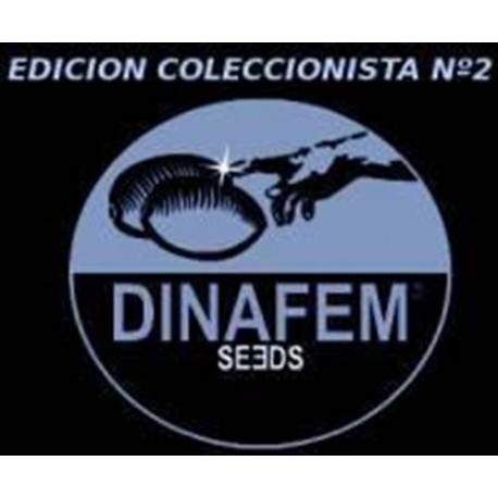 EDICION COLECCIONISTA #2 * DINAFEM SEEDS 6 SEMI FEM