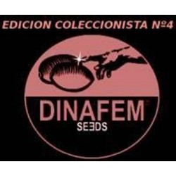 EDICION COLECCIONISTA #4 * DINAFEM SEEDS 6 SEMI FEM