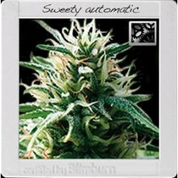 SWEETY AUTO * BLIM BURN 3 SEMI FEM