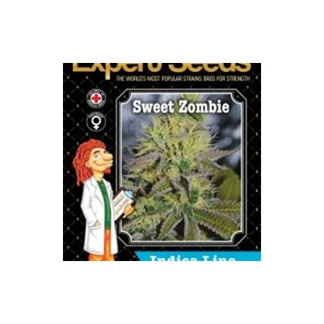 SWEET ZOMBIE * EXPERT SEEDS 5 SEMI FEM 