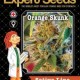 ORANGE SKUNK * EXPERT SEEDS 10 SEMI FEM 