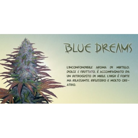 Blue Dreams