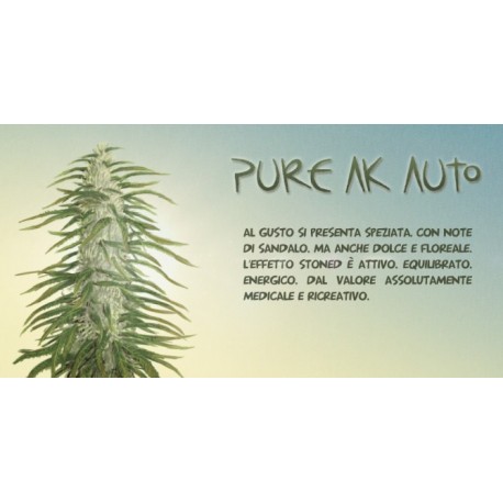 Pure AK Auto