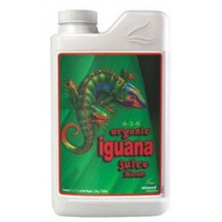 IGUANA JUICE BLOOM 1L