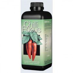 CHILLI FOCUS 1L