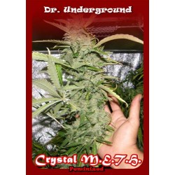 CRYSTAL M.E.H.T. * DR UNDERGROUND 4 SEMI FEM