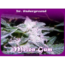 MELON GUM * DR UNDERGROUND 2 SEMI FEM