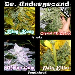 KILLER MIX * DR UNDERGROUND 4 SEMI FEM