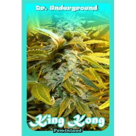 KING KONG * DR UNDERGROUND 4 SEMI FEM