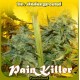 PAINKILLER * DR UNDERGROUND 4 SEMI FEM