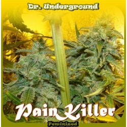 PAINKILLER * DR UNDERGROUND 4 SEMI FEM