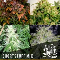 SHORT STUFF MIX * SHORT STUFF SEEDS 20 SEMI REG 