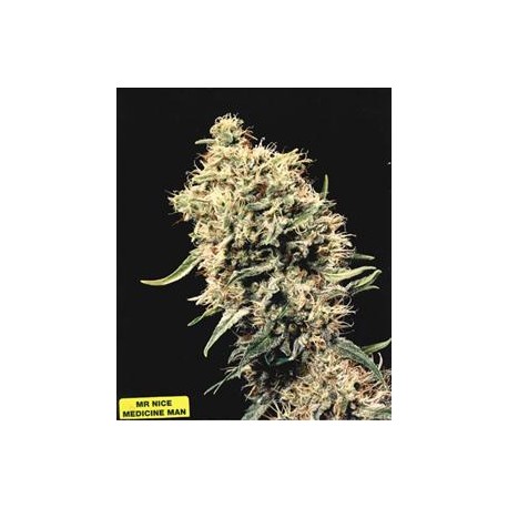 MEDICINE MAN * MR NICE NATURAL 15 SEMI REG 