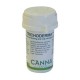 CANNA AKTRIVATOR (TRICHODERMA) POLVERE 10GR