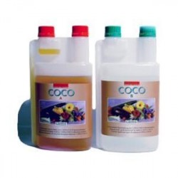 CANNA COCO A+B 2 X 1L