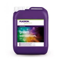 PLAGRON GREEN SENSATION STIMOLATORE FIORITURA 5L