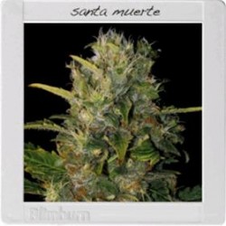 SANTA MUERTE* BLIM BURN 3 SEMI FEM