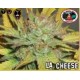 L.A.CHEESE * BIG BUDDHA 5 SEMI FEM 