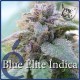 BLUE ELITE INDICA * ELITE SEEDS 3 SEMI FEM 