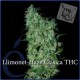 LLIMONET HAZE * ELITE SEEDS 7 SEMI FEM 