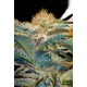 MOHAM RAM * SWEET SEEDS FEMINIZED 5 SEMI 