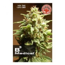 B3 MEDICAL * PURE SEEDS 3 SEMI FEM