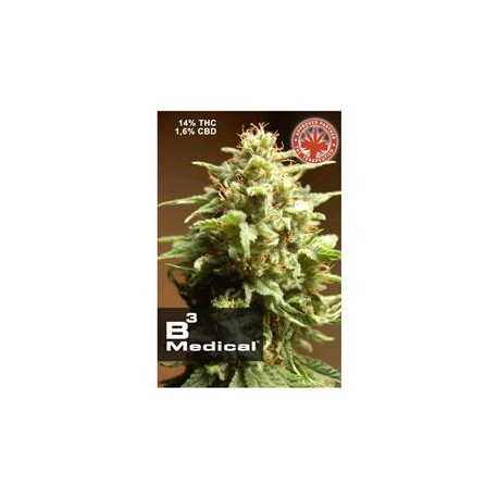 B3 MEDICAL * PURE SEEDS 3 SEMI FEM