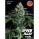 SPEED HAZE * PURE SEEDS 5 SEMI FEM