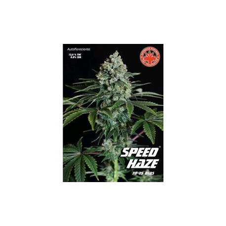 SPEED HAZE * PURE SEEDS 5 SEMI FEM