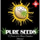 COLLECTOR 1 * PURE SEEDS 6 SEMI FEM