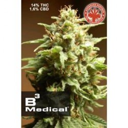 B3 MEDICAL * PURE SEEDS 1 SEME FEM