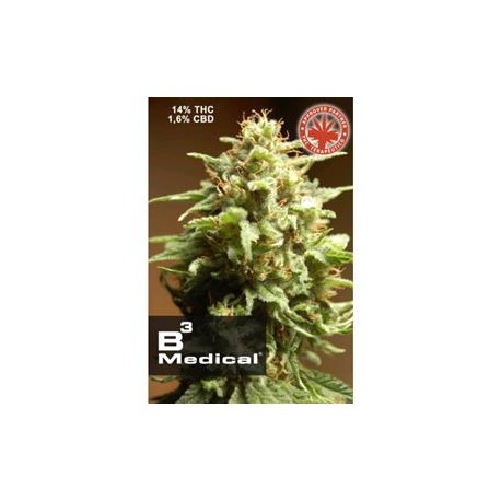 B3 MEDICAL * PURE SEEDS 1 SEME FEM