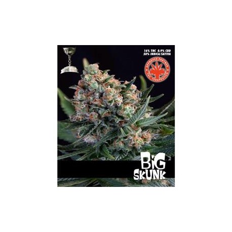 BIG SKUNK * PURE SEEDS 3 SEMI FEM