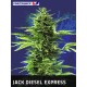 JACK DIESEL EXPRESS * POSITRONICS FEMINIZED 5 SEMI