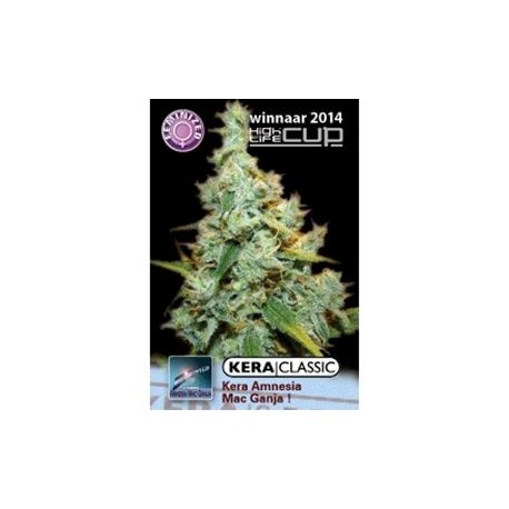 AMNESIA MAC GANJA * KERA SEEDS 10 SEMI FEM