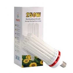 BULBO TRILITE CFL BLOOM 250W