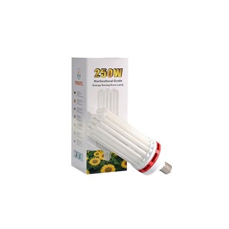 BULBO TRILITE CFL BLOOM 250W